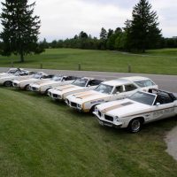Joe Spagnoli shows